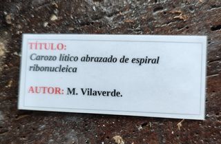 Escultura Granito Negro Serpiente