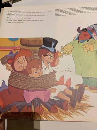 Vinilo Peter Pan Disney Disneyland