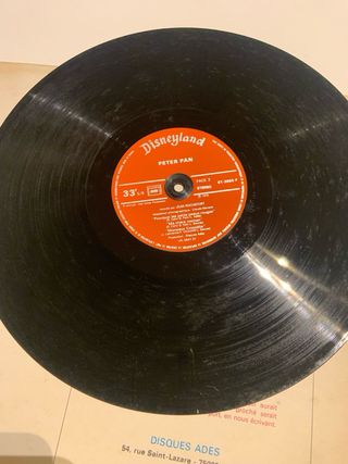 Vinilo Peter Pan Disney Disneyland