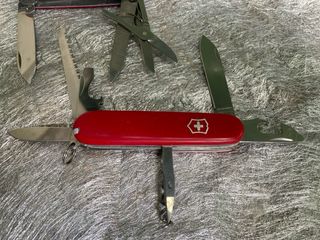 2 Victorinox Mountaineer e Camper