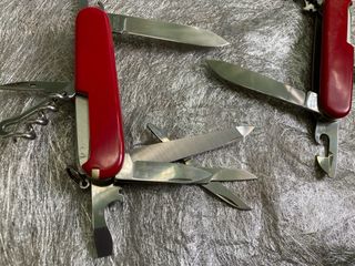 2 Victorinox Mountaineer e Camper