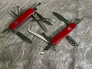 2 Victorinox Mountaineer e Camper
