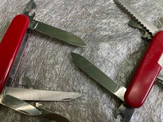 2 Victorinox Mountaineer e Camper