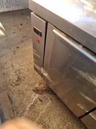 Armario Frío Hostelería