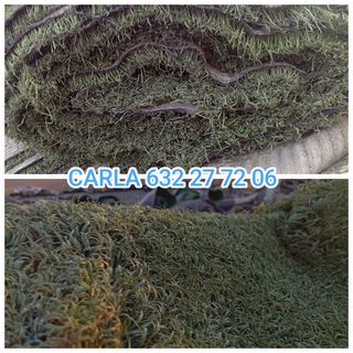 Césped artificial reciclado
