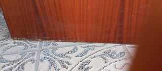 Puerta de madera con pomo