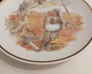 PLATO DE COLECCIONISTA DE CERÁMICA DE LA SERIE 