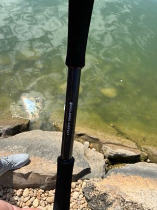 Caña de pescar con carrete