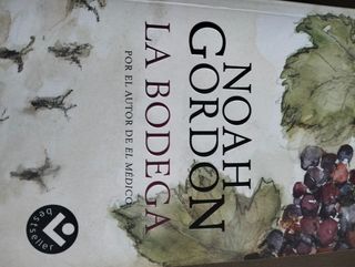 6 Novelas de Noah Gordon