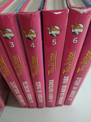 Aventura en Nueva York: Tea Stilton 6