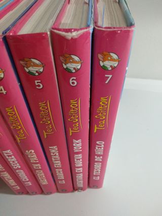 Aventura en Nueva York: Tea Stilton 6