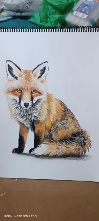 Ilustración de zorro hecha a mano con lápices