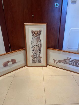 Trío de cuadros animales
