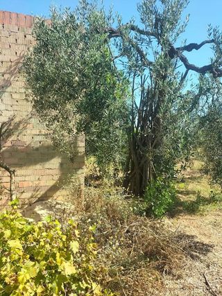 Terreno en venta en Bollullos de la Mitación