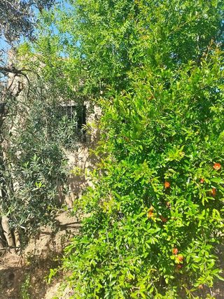 Terreno en venta en Bollullos de la Mitación