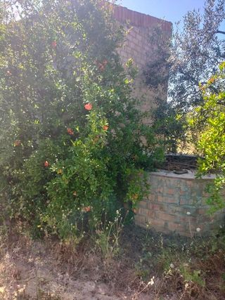 Terreno en venta en Bollullos de la Mitación