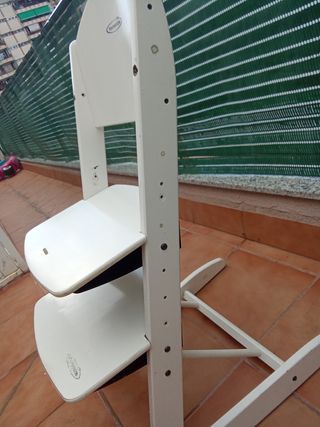 Trona Evolutiva Storchebmhle