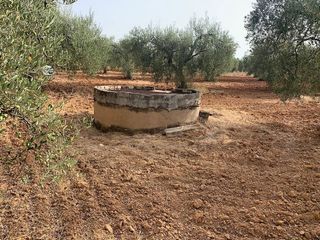 Terreno en venta en Bollullos de la Mitación