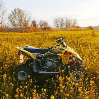 Quad Suzuki LTR 450 2009 o cambio por coche 4x4