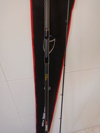 Caña de Pesca Spinning 10' 3.05M