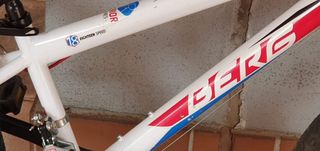 Bicicleta Infantil 18 Marchas Shimano