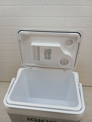 Nevera Eléctrica IGLOO IE24 24L