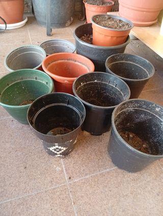 Lote de maceteros varios tamaños . 5€