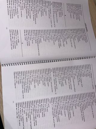 Diccionario Latín Español