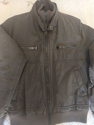 Cazadora Thomas Burberry Marrón y verde oscuro