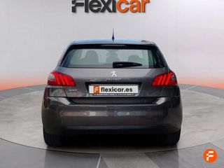 Peugeot 308 5p Active Pack BlueHDi 130 S&S