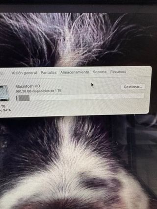 iMac 21,5 2,8 GHz Intel Core Plata