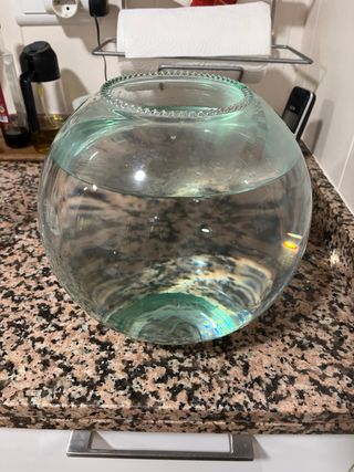 Pecera redonda de cristal