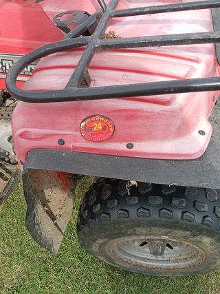 Quad  bear tracker Yamaha 250cc