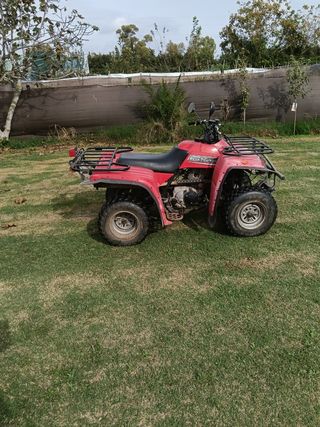 Quad  bear tracker Yamaha 250cc