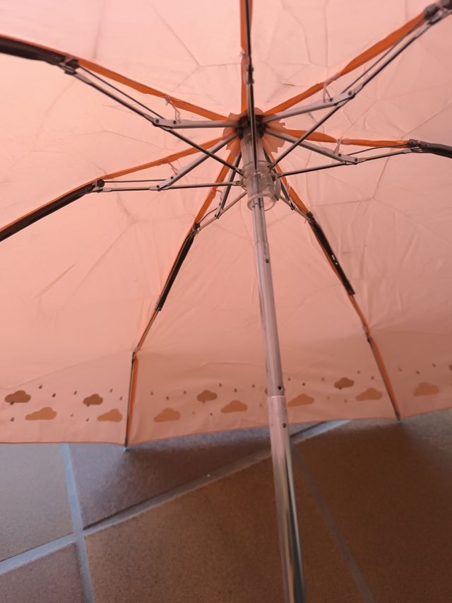 Paraguas plegable Mr. Wonderful