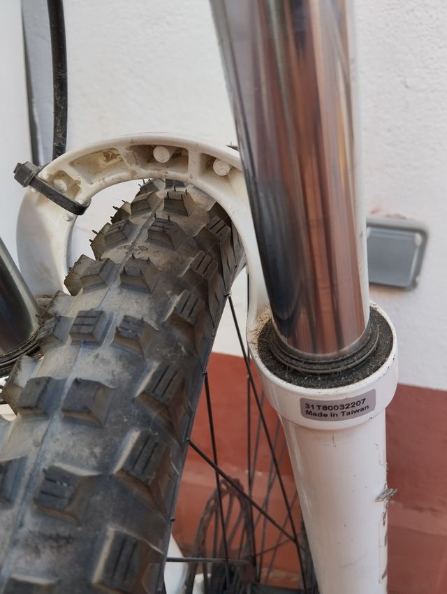 Neumáticos Schwalbe Magic Mary