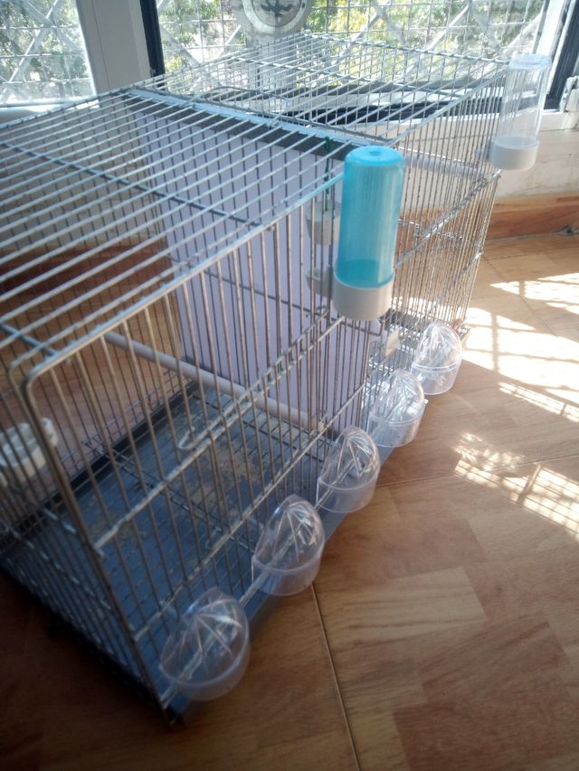 Jaula para pájaros plateada y transparente