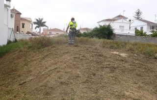 Jardinero económico