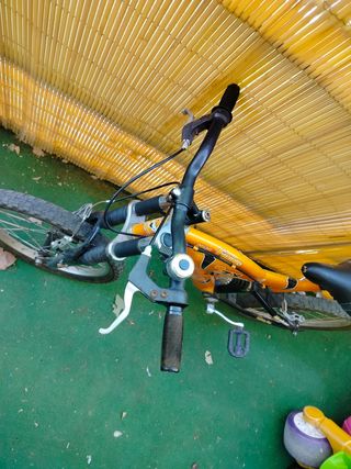 Bicicleta naranja
