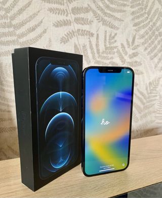 iPhone 12 Pro Max 256 GB