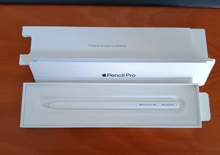 Apple Pencil Pro grabado BORN ARTIST