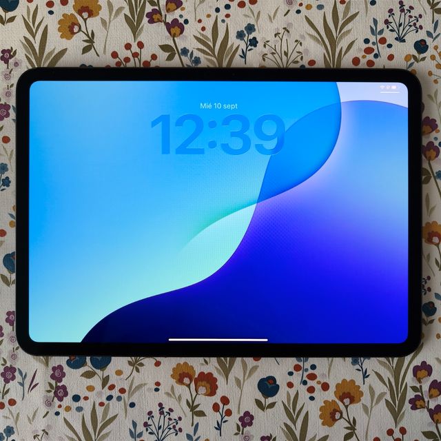 iPad Pro 11" M4 256GB