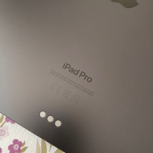 iPad Pro 11" M4 256GB