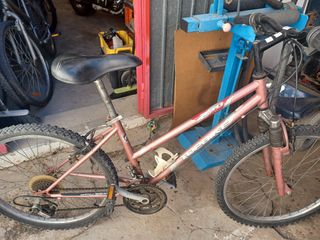 Bicicleta Topbike Rosa con Suspensión