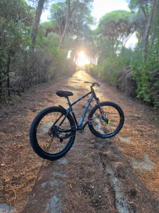 Bicicleta de montaña