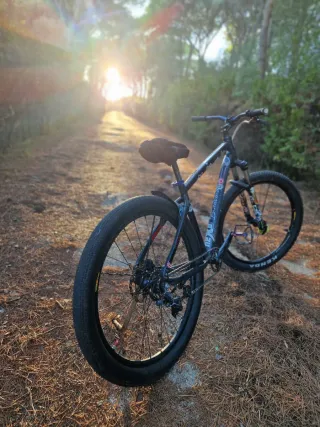Bicicleta de montaña