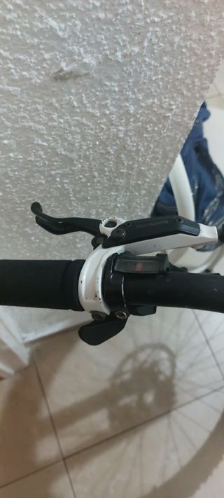Bicicleta de montaña