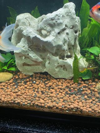 Roca para acuario