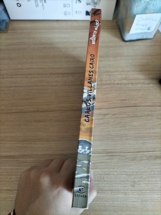 Libro "El bisonte mágico" (espada infantil)