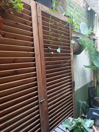 2 Puertas mallorquinas antiguas madera maciza.